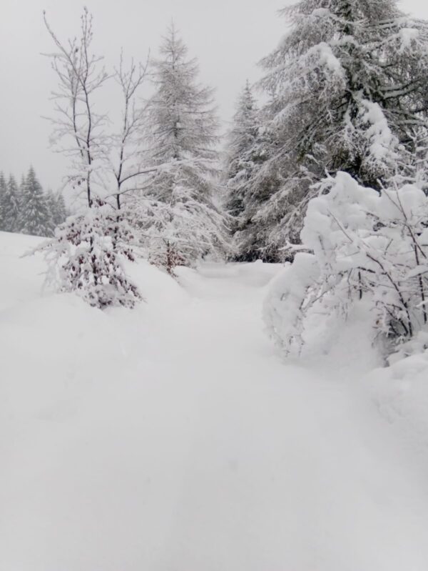 AperiCiaspola: ciaspolata notturna con vista panoramica e apericena in baita - 2 gennaio