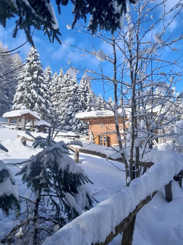 AperiCiaspola: ciaspolata notturna con vista panoramica e apericena in baita - 2 gennaio