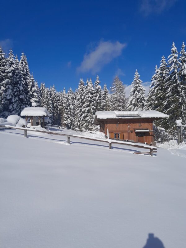 AperiCiaspola: ciaspolata notturna con vista panoramica e apericena in baita - 2 gennaio