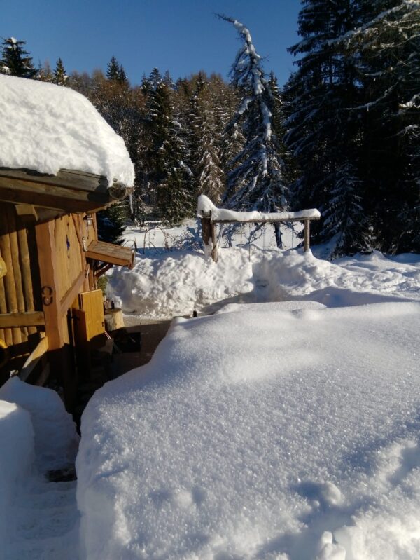 AperiCiaspola: ciaspolata notturna con vista panoramica e apericena in baita - 2 gennaio