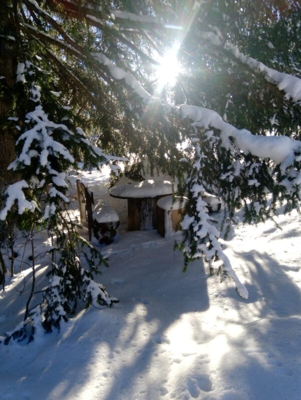 AperiCiaspola: ciaspolata notturna con vista panoramica e apericena in baita - 2 gennaio