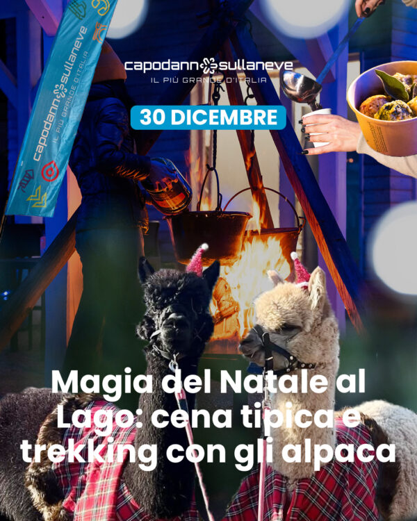 Magia di Natale al Lago: cena tipica, trekking con gli alpaca e musica live
