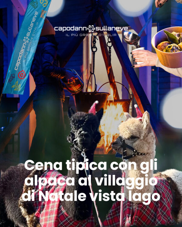 Tour con gli Alpaca ai mercatini di Natale con cena tipica