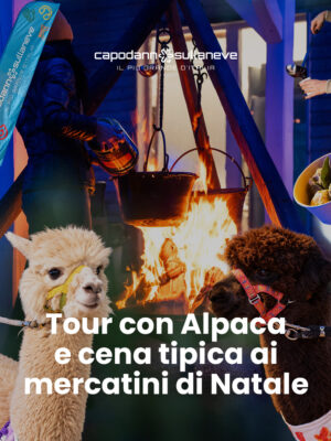 Tour con gli Alpaca ai mercatini di Natale con cena tipica