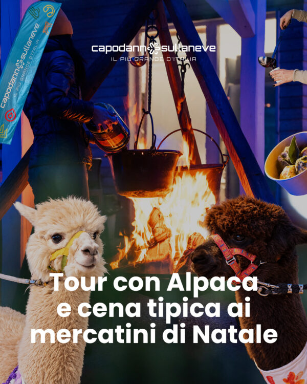 Tour con gli Alpaca ai mercatini di Natale con cena tipica
