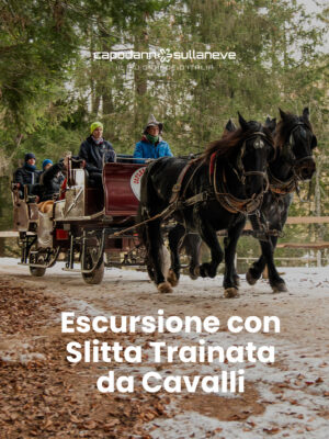Escursione con slitta trainata dai cavalli, tra i boschi, i masi e i Presepi di Ruffrè