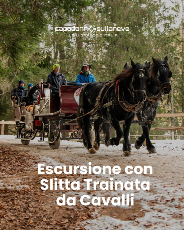 Escursione con slitta trainata da cavalli a Ruffrè