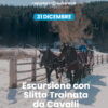 Escursione diurna_31 dicembre Escursione con slitta trainata dai cavalli, tra i boschi, i masi e i Presepi di Ruffrè - 31 dicembre