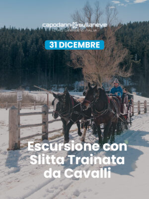 Escursione con slitta trainata dai cavalli, tra i boschi, i masi e i Presepi di Ruffrè - 31 dicembre