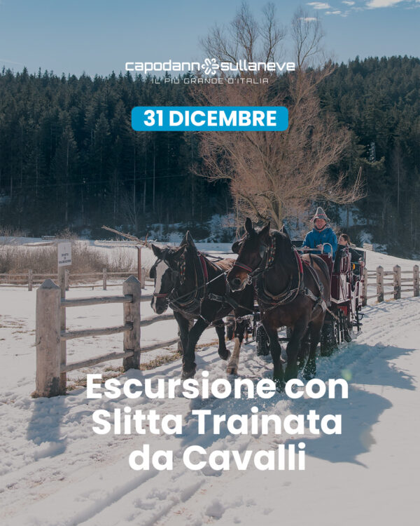 Escursione con slitta trainata dai cavalli, tra i boschi, i masi e i Presepi di Ruffrè - 31 dicembre