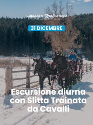 Escursione diurna con slitta trainata dai cavalli, tra i boschi, i masi e i Presepi di Ruffrè - 31 dicembre