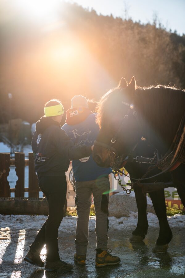 Capodanno_Sulla_Neve_Escursione_In_Slitta Escursione con slitta trainata dai cavalli, tra i boschi, i masi e i Presepi di Ruffrè - 2 gennaio