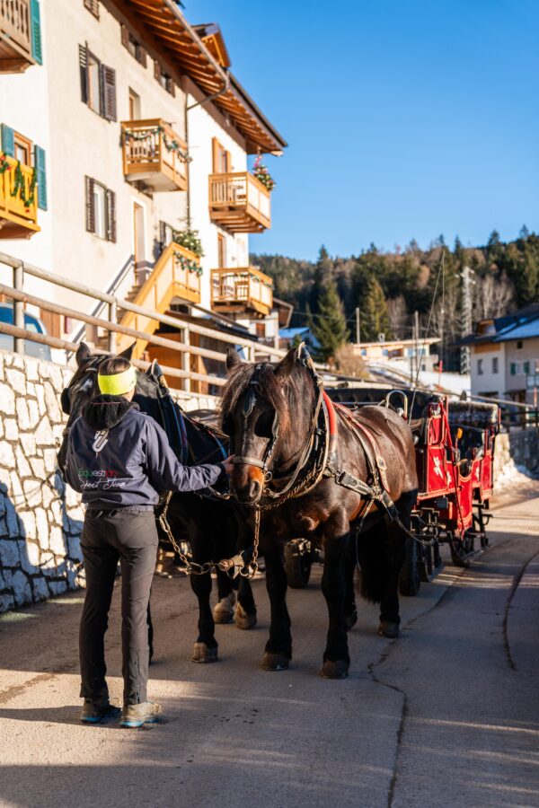 Escursione_In_Slitta_30_Dicembre Escursione con slitta trainata dai cavalli, tra i boschi, i masi e i Presepi di Ruffrè - 2 gennaio