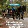 Escursione_con_slitta_30 dicembre Escursione con slitta trainata dai cavalli, tra i boschi, i masi e i Presepi di Ruffrè - 30 dicembre