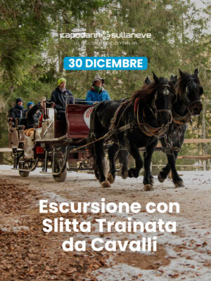 Escursione con slitta trainata dai cavalli, tra i boschi, i masi e i Presepi di Ruffrè - 30 dicembre