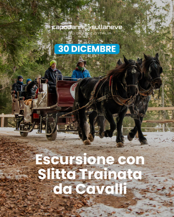 Escursione con slitta trainata dai cavalli, tra i boschi, i masi e i Presepi di Ruffrè - 30 dicembre