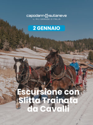 Escursione con slitta trainata dai cavalli, tra i boschi, i masi e i Presepi di Ruffrè - 2 gennaio