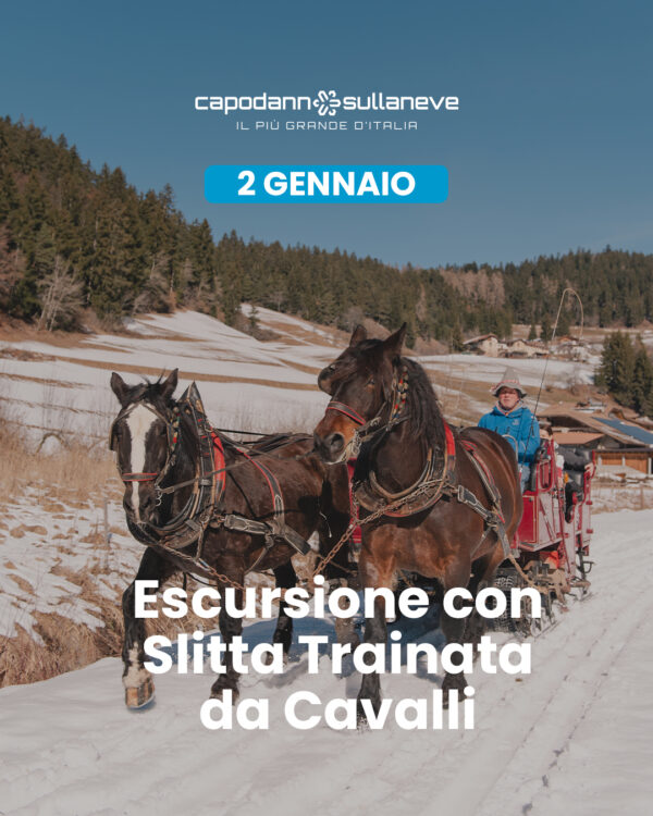 Escursione_con_slitta_2 gennaio Escursione con slitta trainata dai cavalli, tra i boschi, i masi e i Presepi di Ruffrè - 2 gennaio