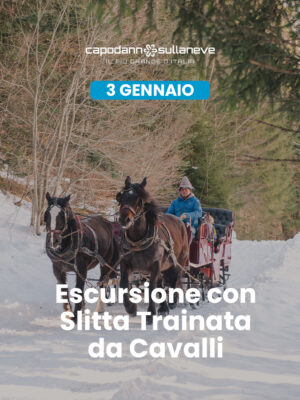 Escursione con slitta trainata dai cavalli, tra i boschi, i masi e i Presepi di Ruffrè - 3 gennaio
