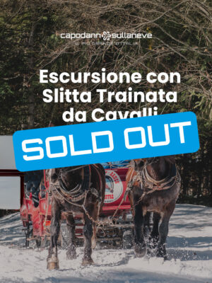 escursioneconslitta_soldout Fiaccolata nel bosco con visita al Santuario di San Romedio e alla tana dell’orso - 30 dicembre