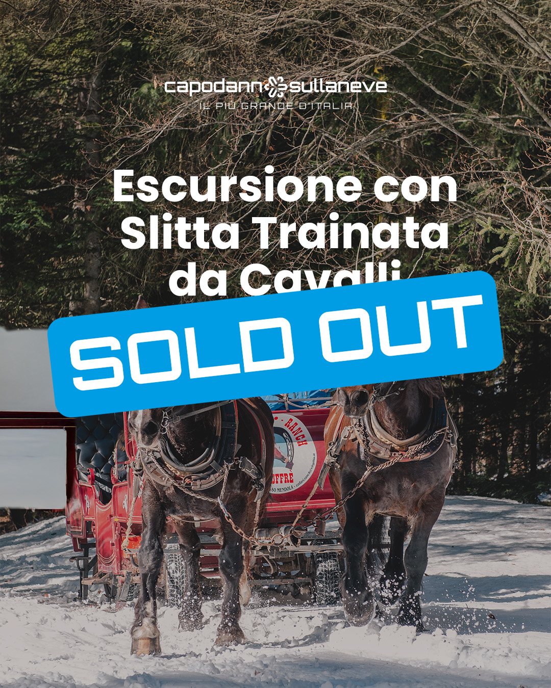 Escursione con slitta trainata dai cavalli, tra i boschi, i masi e i Presepi di Ruffrè - 30 dicembre